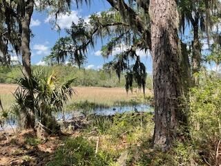 8119 S Loafer Glory Lane Photo 35