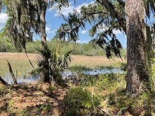 8119 S Loafer Glory Lane Photo 36