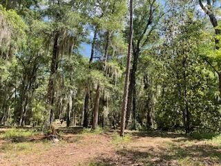 8119 S Loafer Glory Lane Photo 39