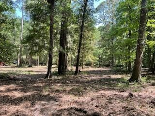 8119 S Loafer Glory Lane Photo 4