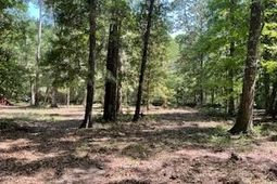 8119 S Loafer Glory Lane photo 4