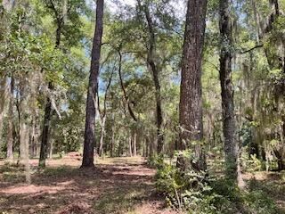 8119 S Loafer Glory Lane Photo 40