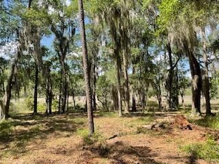 8119 S Loafer Glory Lane Photo 41