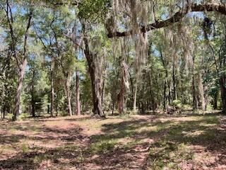 8119 S Loafer Glory Lane Photo 42