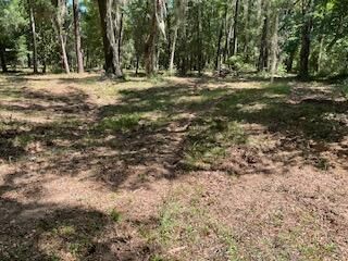 8119 S Loafer Glory Lane Photo 43