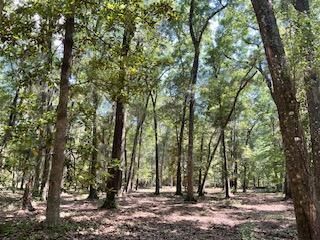 8119 S Loafer Glory Lane Photo 44