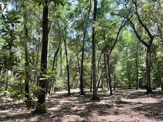 8119 S Loafer Glory Lane Photo 45