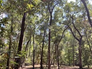 8119 S Loafer Glory Lane Photo 46