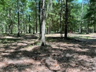 8119 S Loafer Glory Lane Photo 47