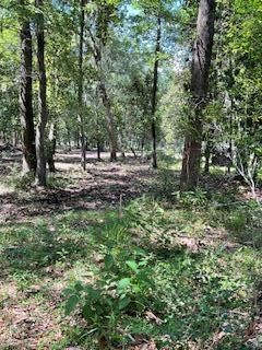 8119 S Loafer Glory Lane Photo 48