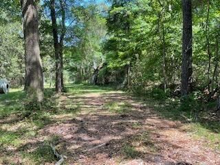 8119 S Loafer Glory Lane Photo 49