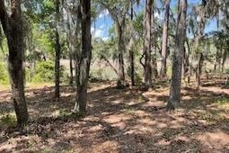 8119 S Loafer Glory Lane photo 4