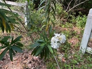 8119 S Loafer Glory Lane Photo 55