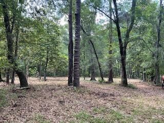 8119 S Loafer Glory Lane Photo 6