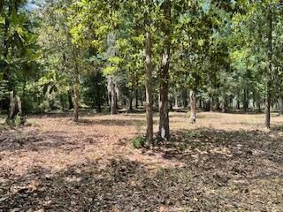 8119 S Loafer Glory Lane Photo 7