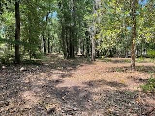 8119 S Loafer Glory Lane Photo 8