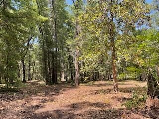 8119 S Loafer Glory Lane Photo 9