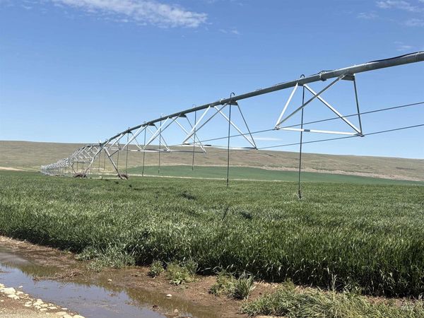 TBD S Robinson Rd., Kuna, ID 83634