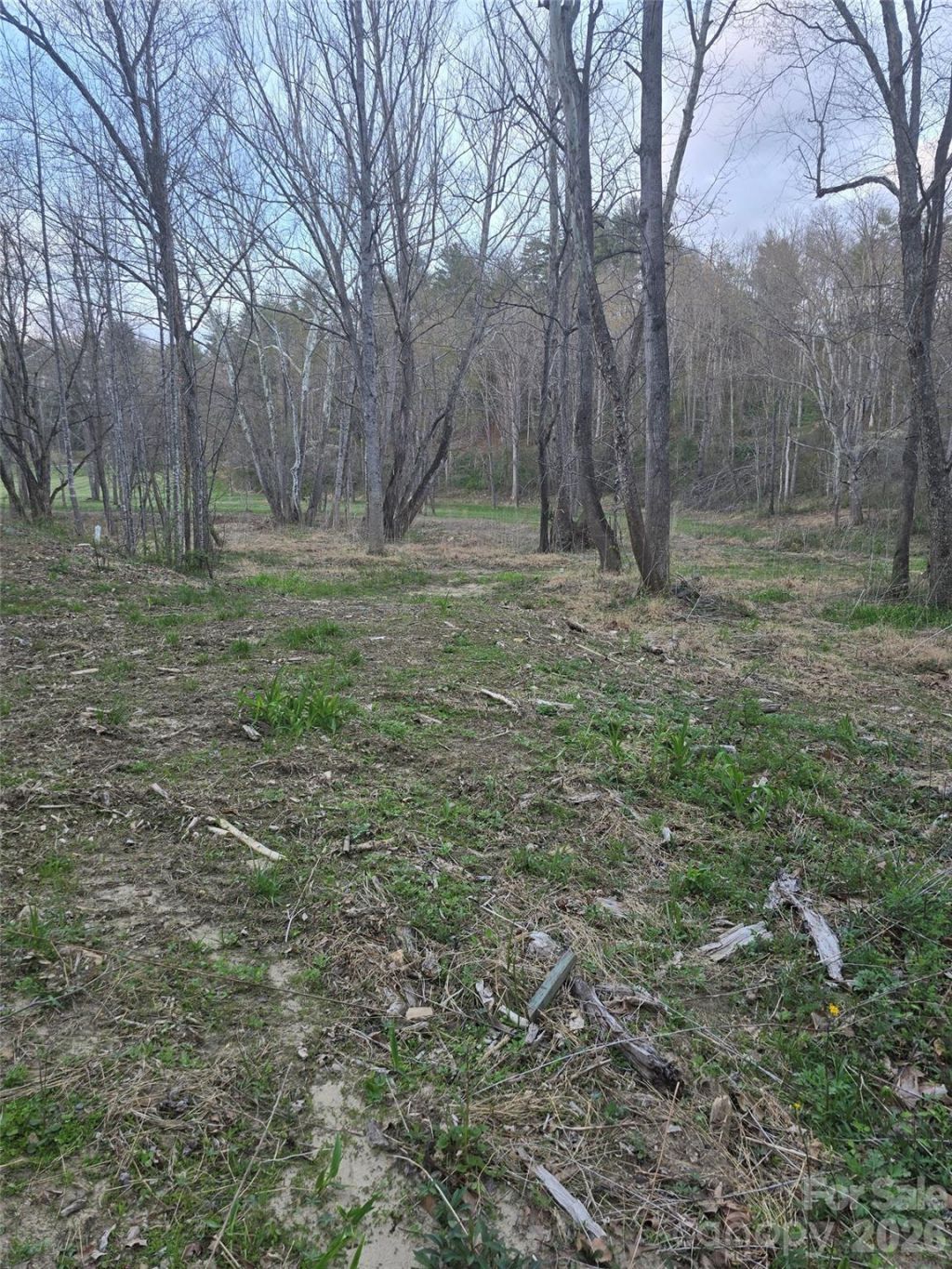 91 Miller Road, Fairview, NC 28730 Main Photo