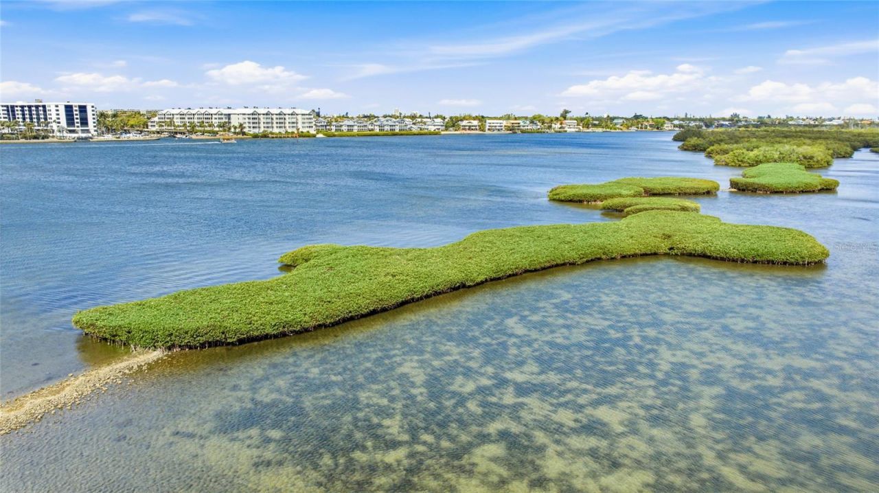 5915 Tidewood Avenue, Unit 4, Sarasota, FL 34231 Photo
