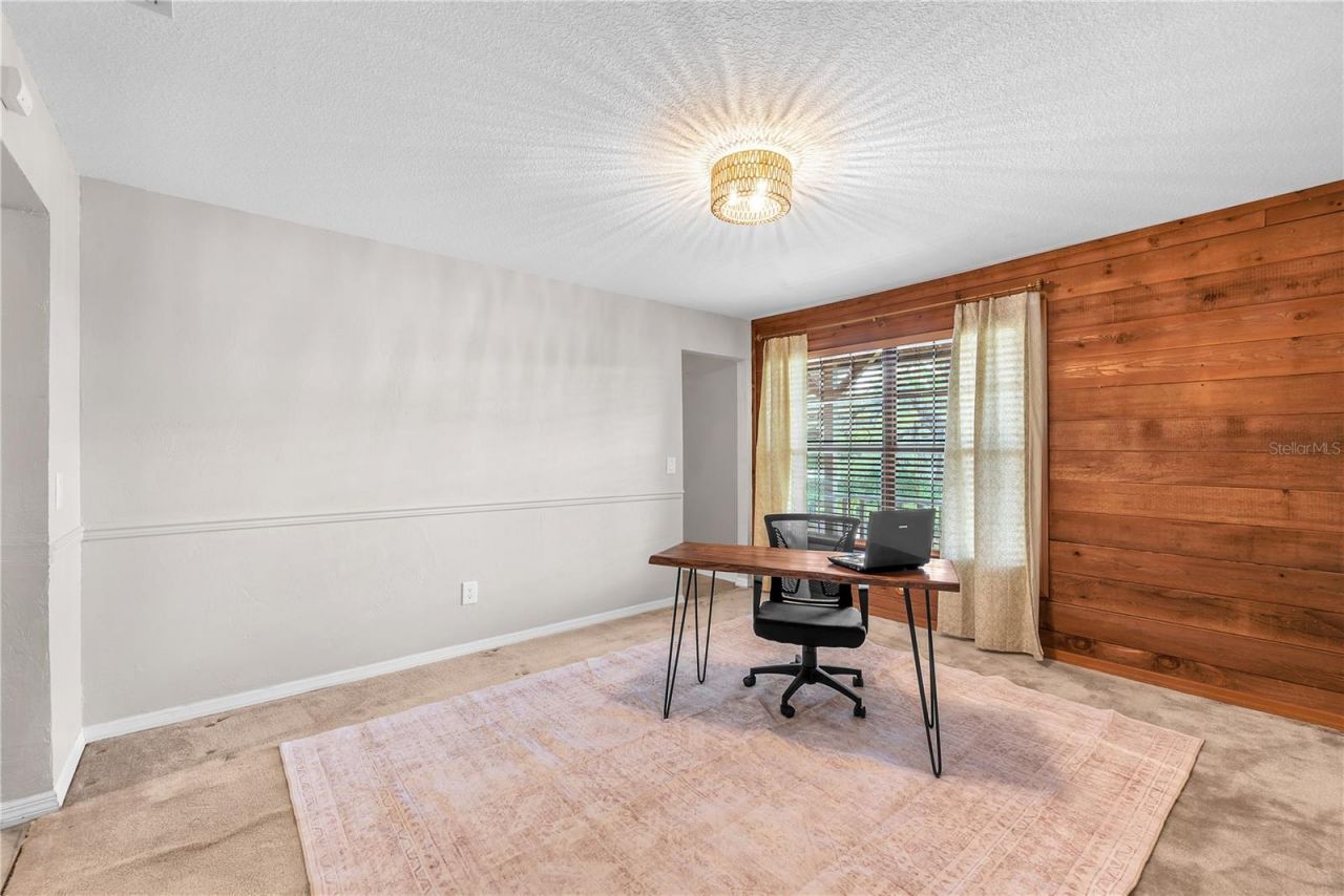 11209 Donneymoor Drive, Riverview, FL 33569 Photo