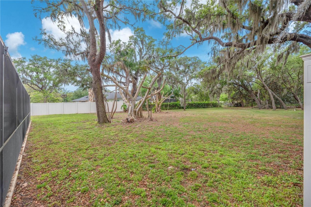 11209 Donneymoor Drive, Riverview, FL 33569 Photo