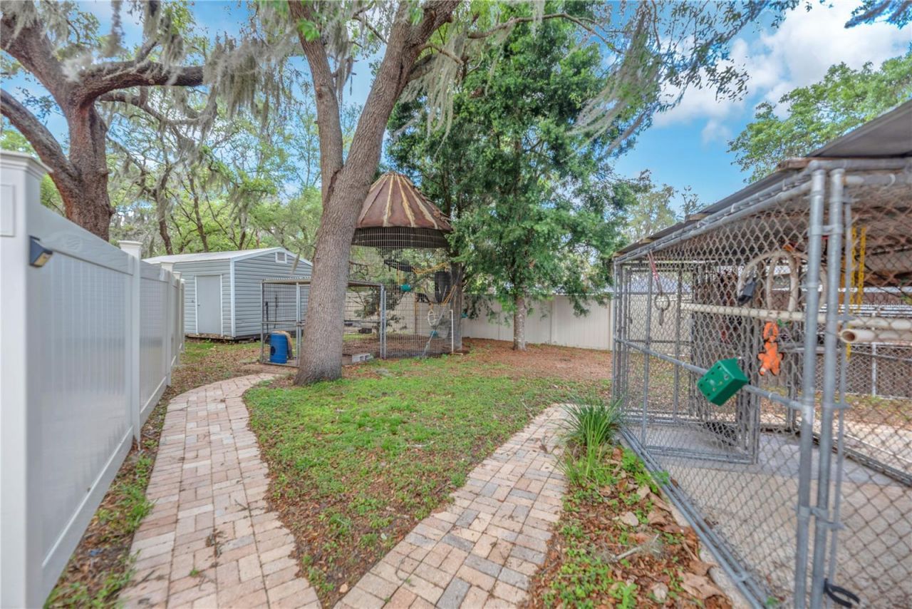 11209 Donneymoor Drive, Riverview, FL 33569 Photo
