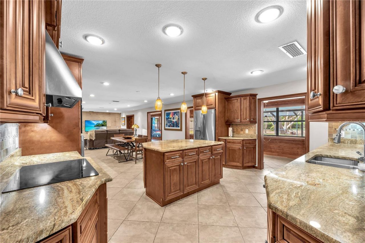 11209 Donneymoor Drive, Riverview, FL 33569 Photo