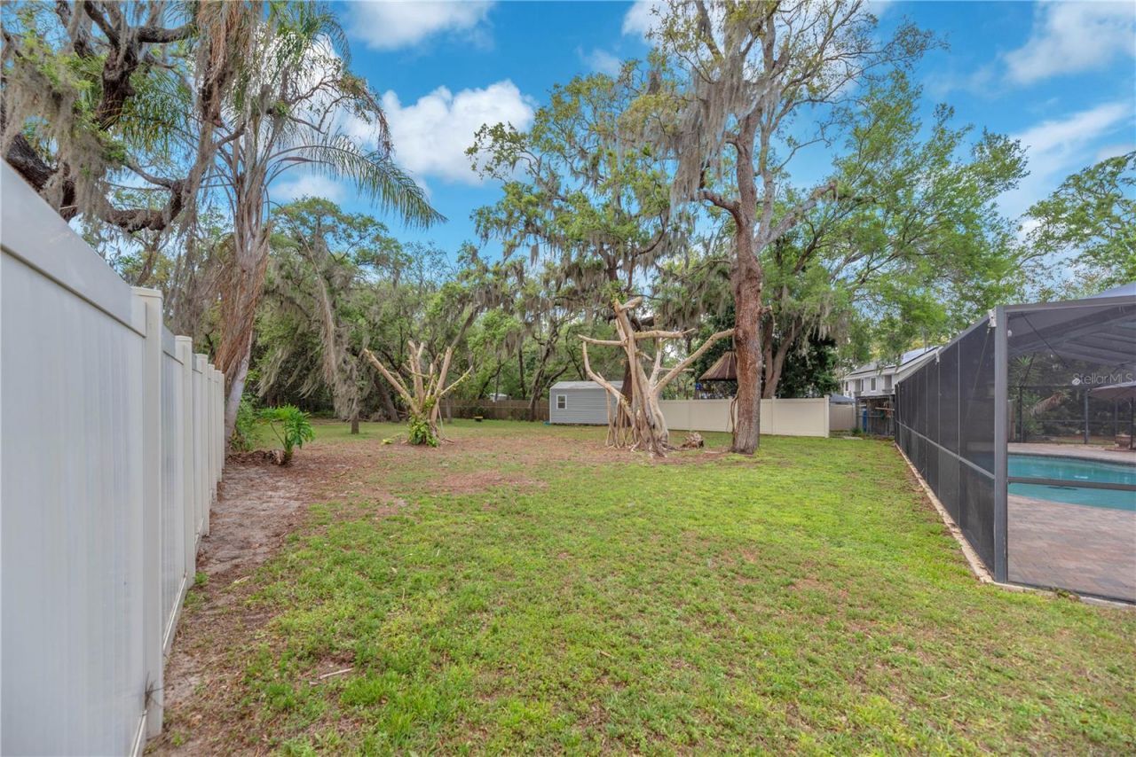 11209 Donneymoor Drive, Riverview, FL 33569 Photo