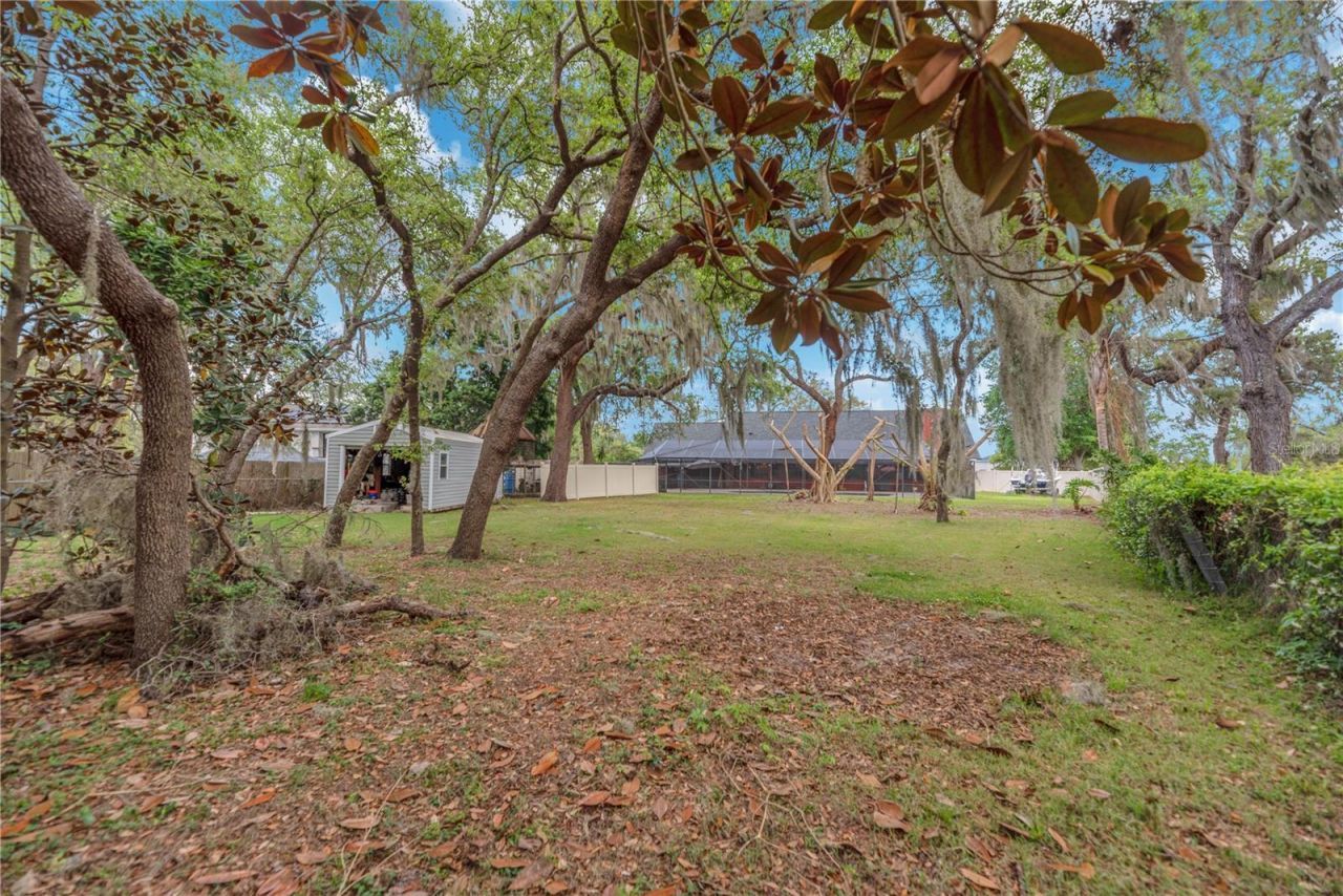 11209 Donneymoor Drive, Riverview, FL 33569 Photo