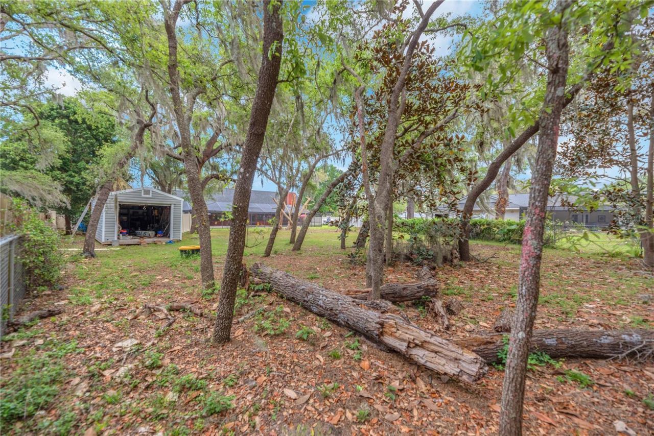 11209 Donneymoor Drive, Riverview, FL 33569 Photo