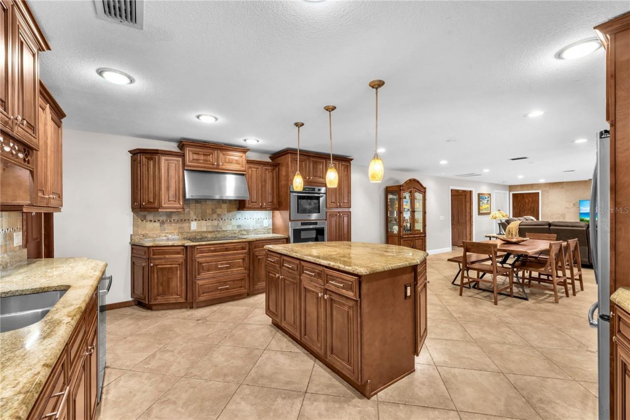 11209 Donneymoor Drive, Riverview, FL 33569 Photo
