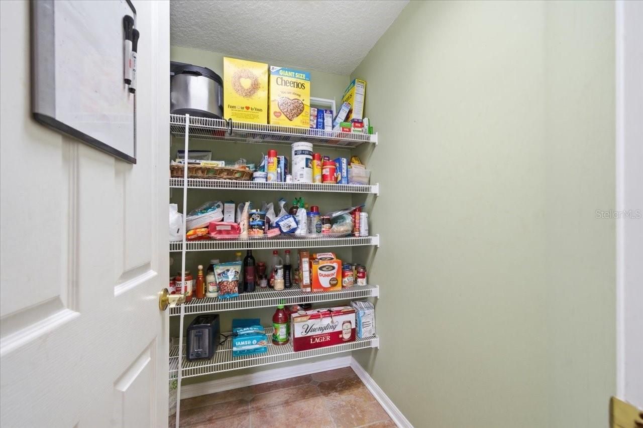 19106 Saint Laurent Drive , Lutz, FL 33558 Photo