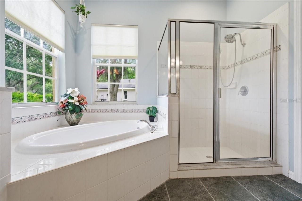 19106 Saint Laurent Drive , Lutz, FL 33558 Photo