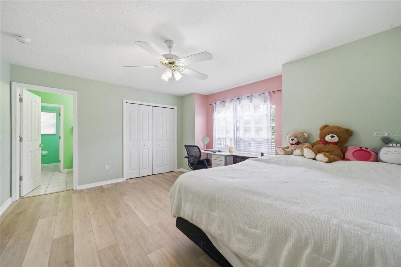 19106 Saint Laurent Drive , Lutz, FL 33558 Photo