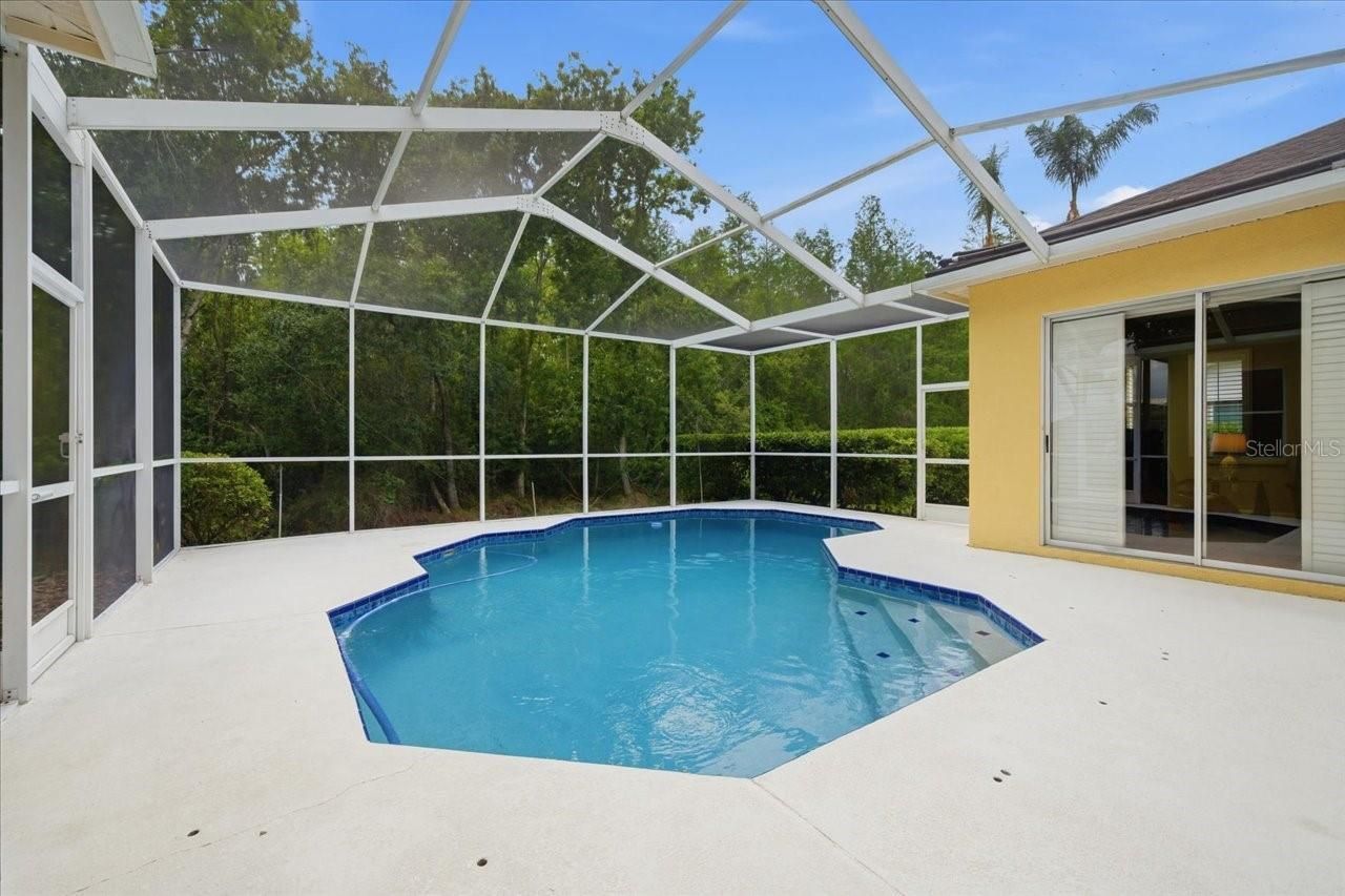 19106 Saint Laurent Drive , Lutz, FL 33558 Photo