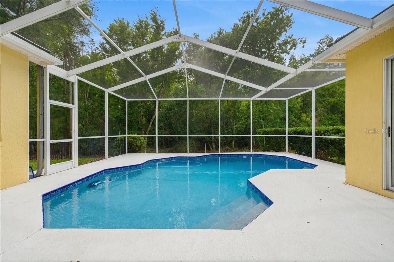 19106 Saint Laurent Drive , Lutz, FL 33558 Photo