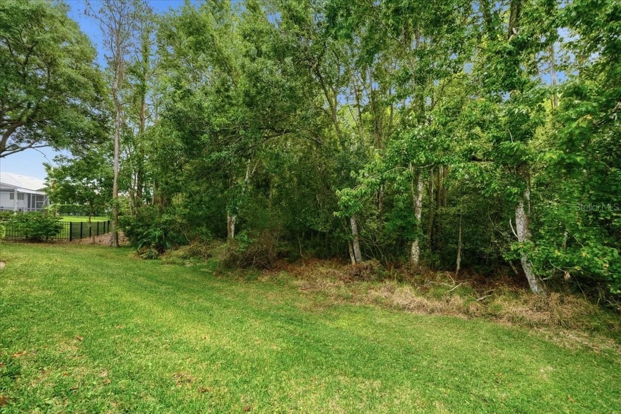 19106 Saint Laurent Drive , Lutz, FL 33558 Photo