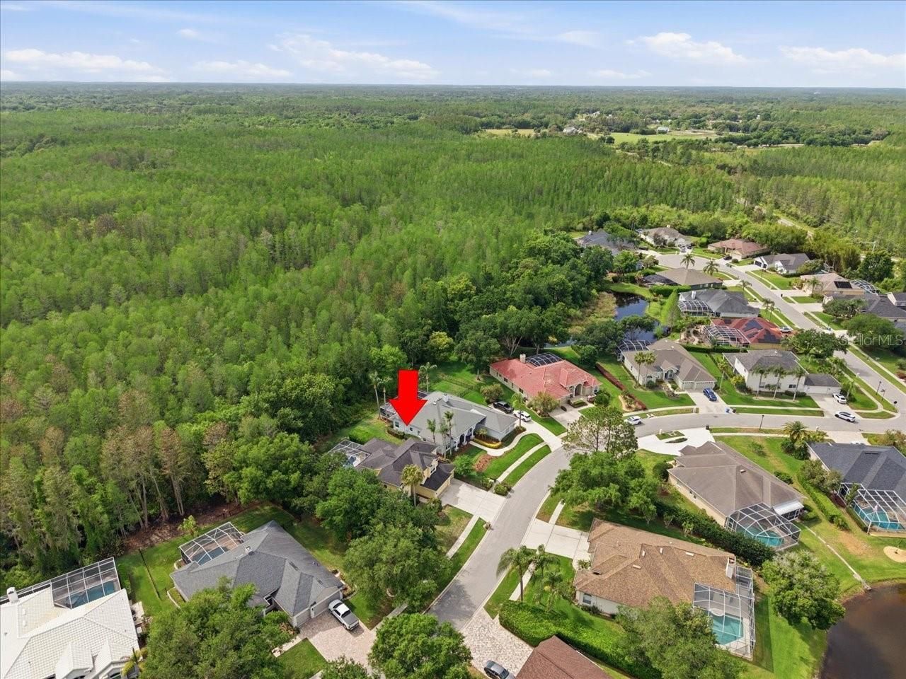 19106 Saint Laurent Drive , Lutz, FL 33558 Photo