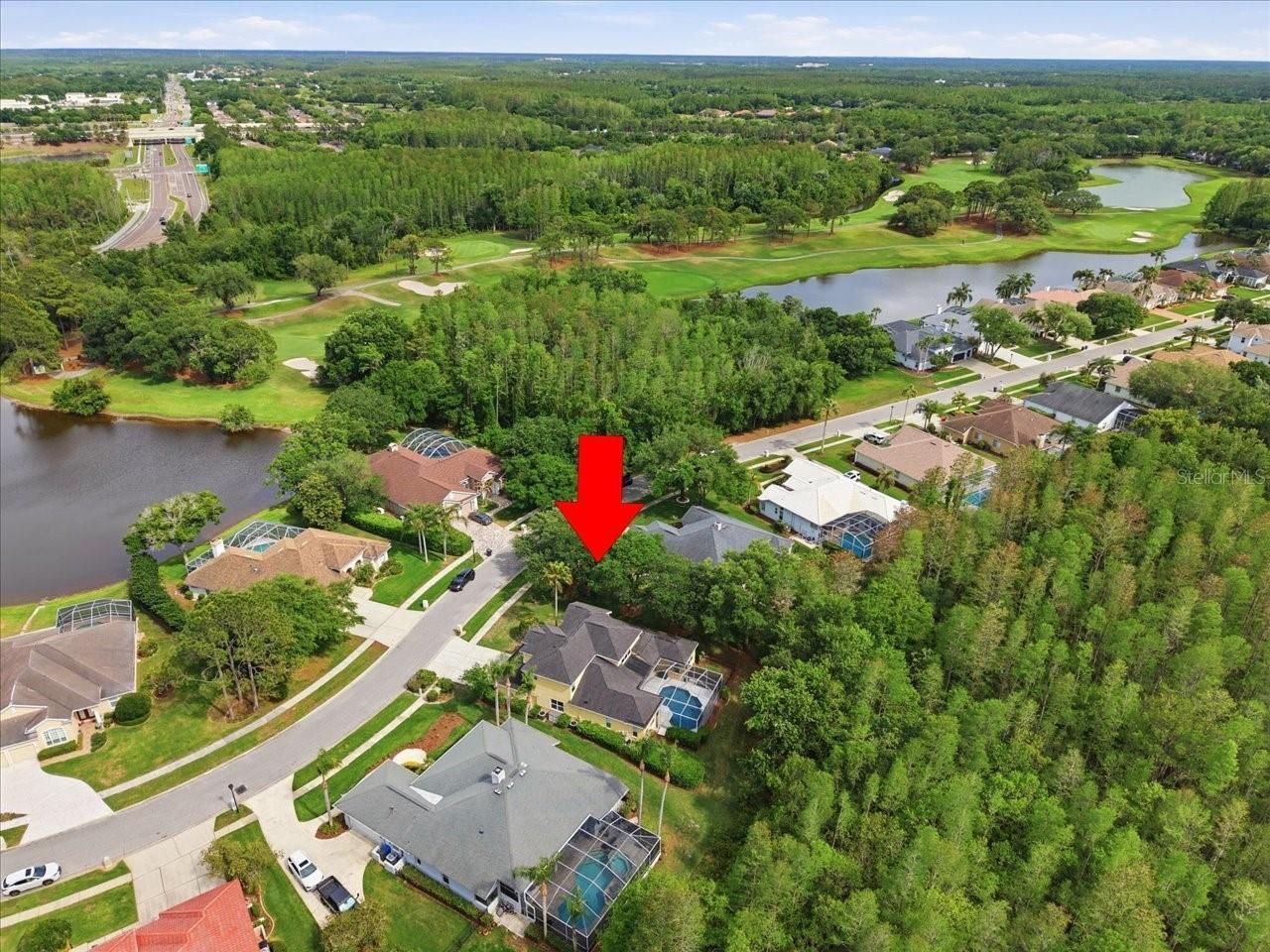 19106 Saint Laurent Drive , Lutz, FL 33558 Photo