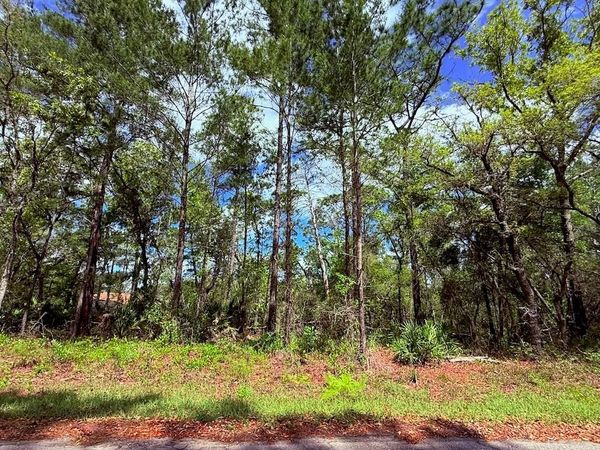 Lot 15 BAY COURT , OCKLAWAHA, FL 32179