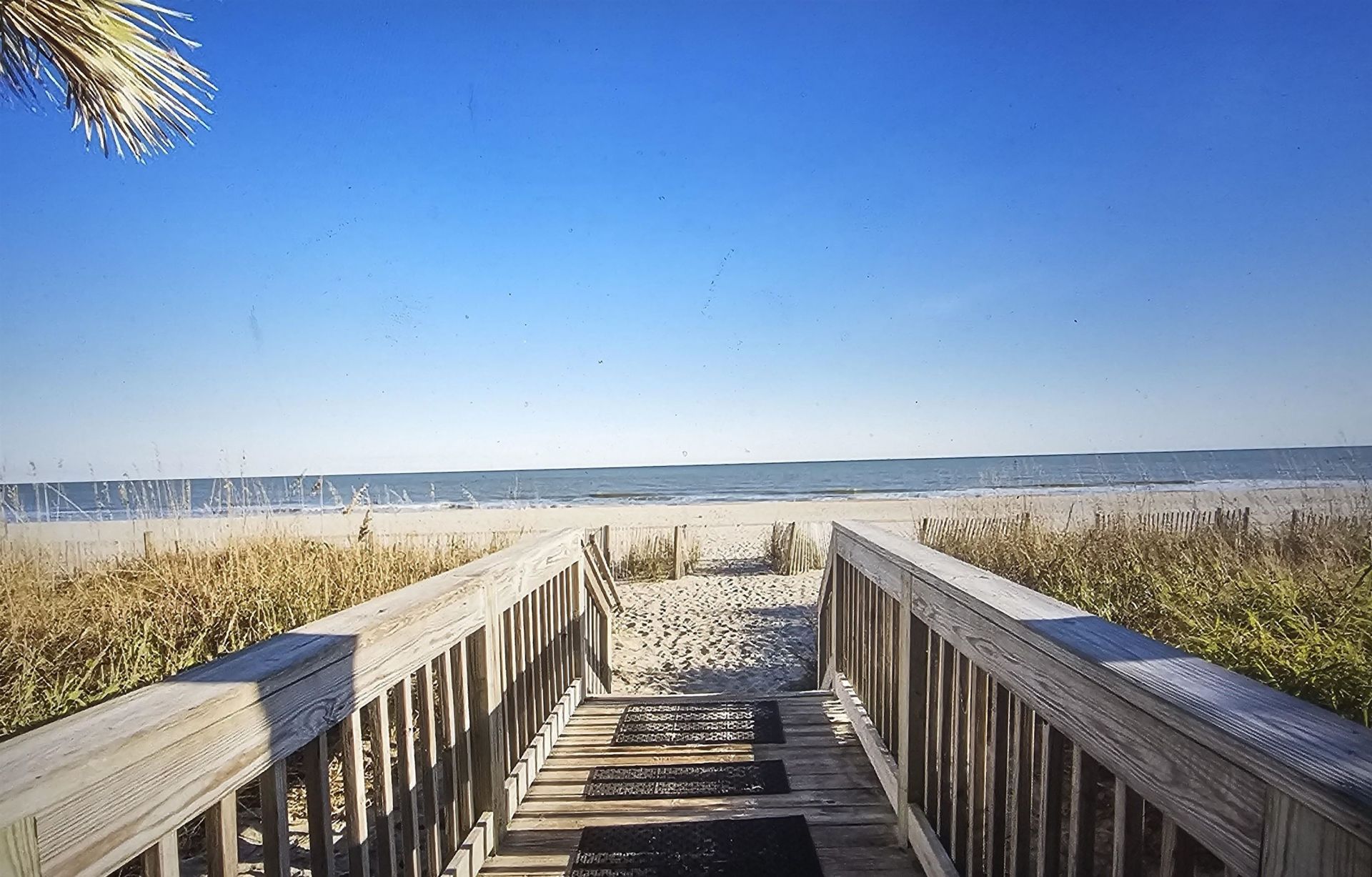 1501 Ocean Blvd. S Photo 22