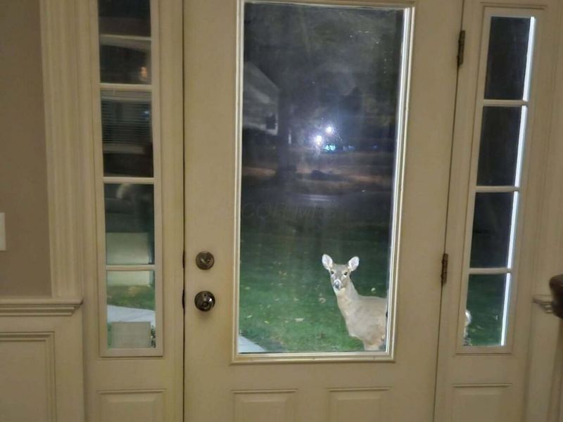 1167 Ridge Road NE, Lancaster, OH 43130 Photo 82