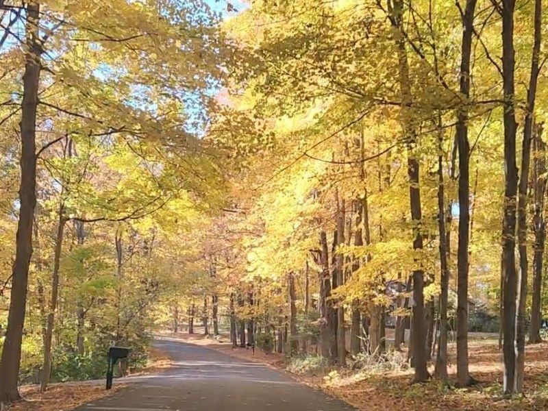 1167 Ridge Road NE, Lancaster, OH 43130 Photo 86