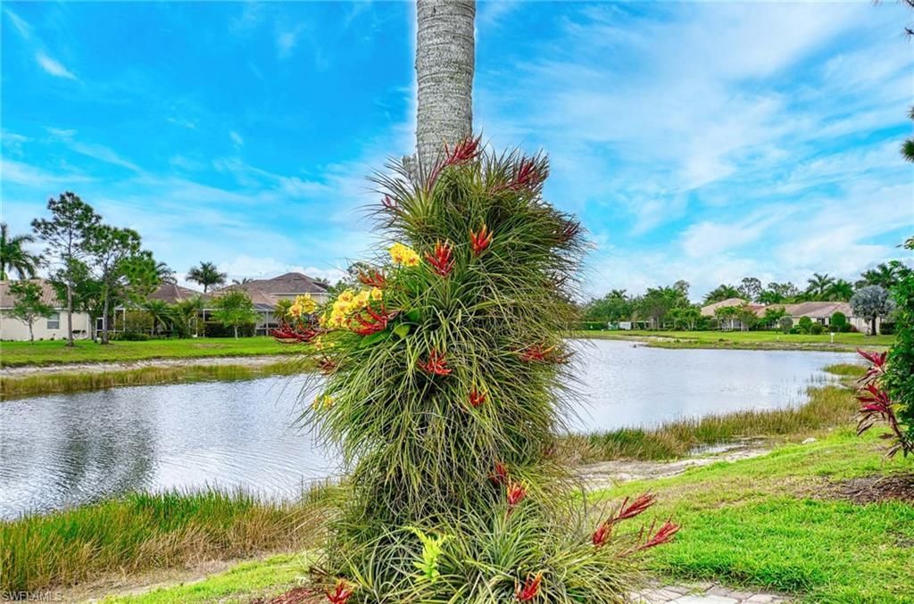 14809 Canton Ct, Naples, FL 34114 Photo