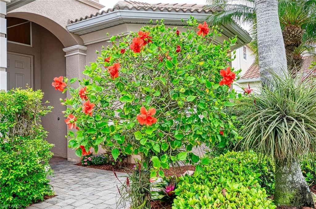 14809 Canton Ct, Naples, FL 34114 Photo