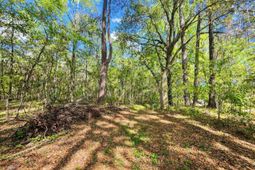 0 Highway 45 photo 4