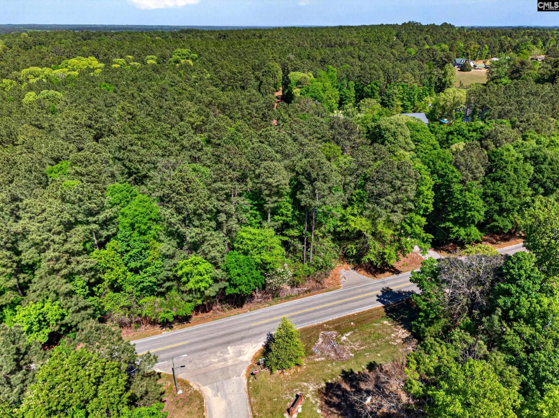 0 Juniper Springs Road Photo 4