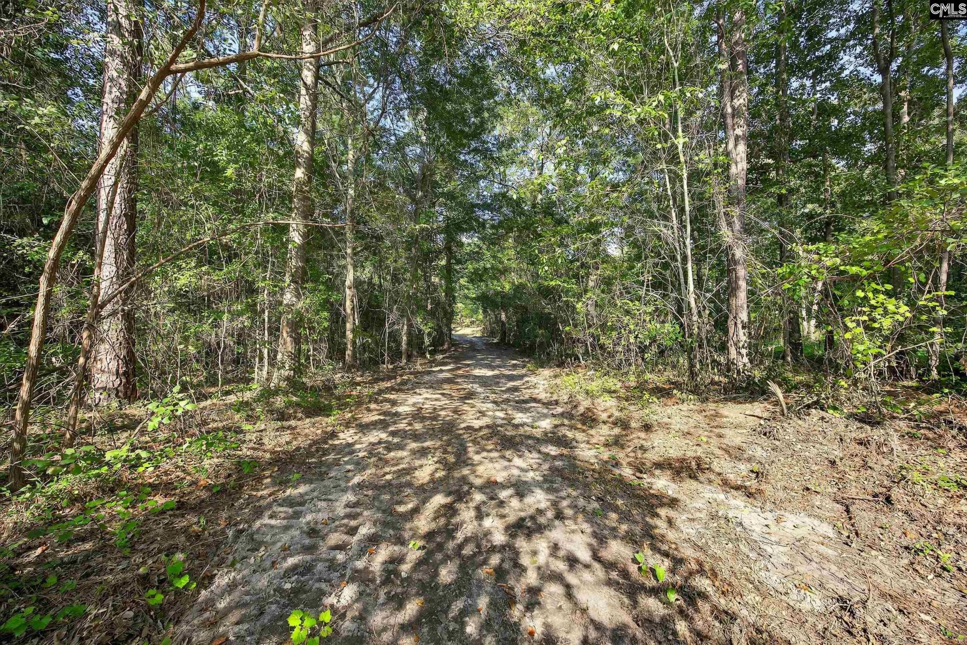 0 Juniper Springs Road Photo 8