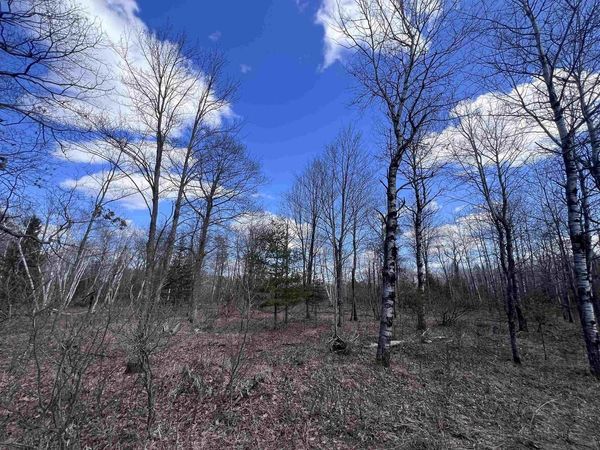 NEJEDLO ROAD, Wausaukee, WI 54177